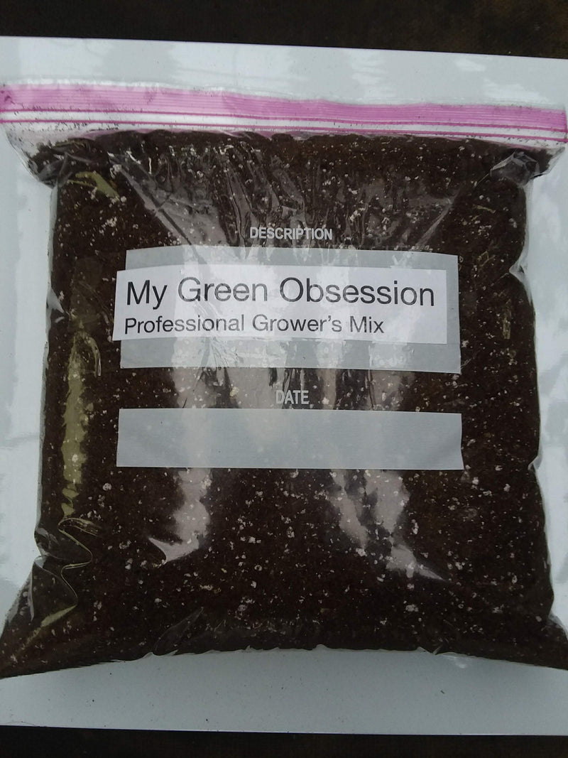 Potting mix - quart bag - for houseplants — My Green Obsession 
