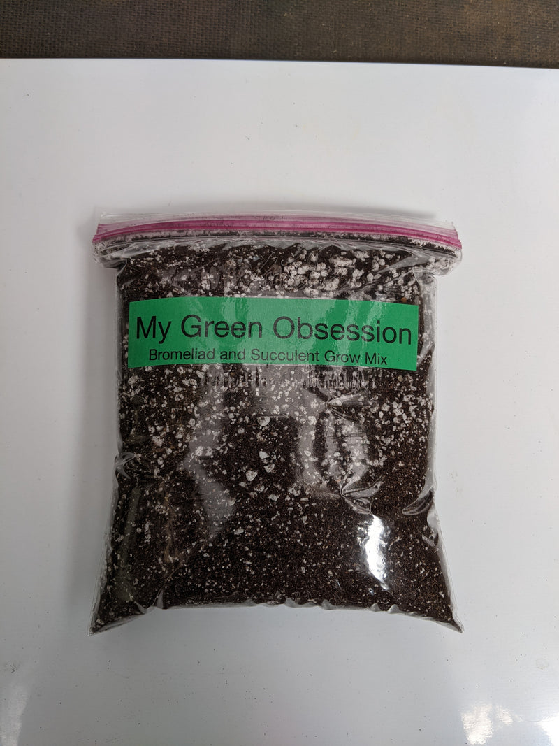 Bromeliad & Succulent Grow Mix - Quart Size — My Green Obsession 